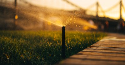 Smarte Bewässerung: Den Garten per App verwalten